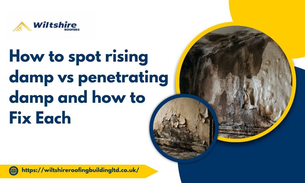 How to spot rising damp vs penetrating damp