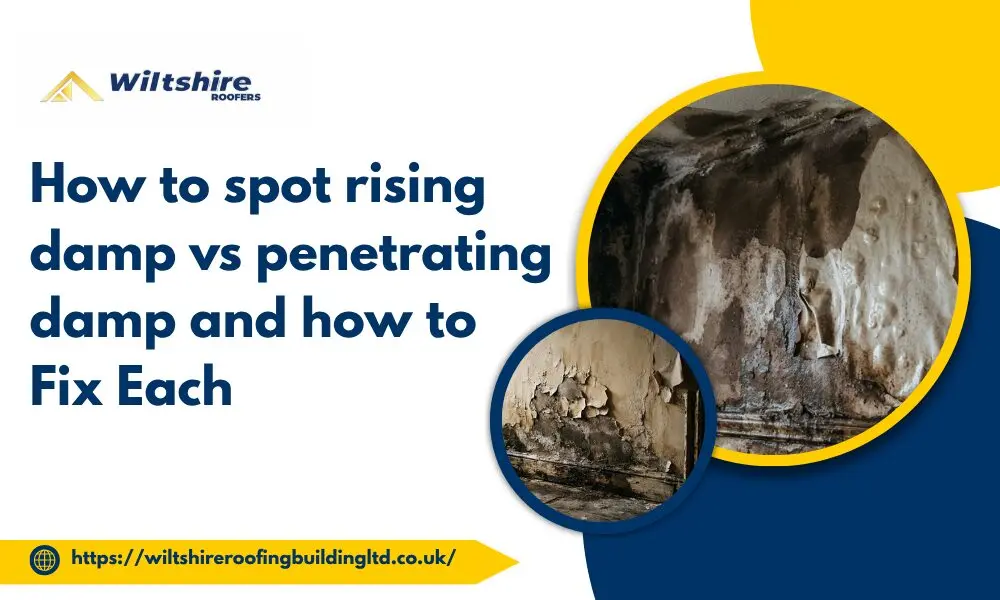 How to spot rising damp vs penetrating damp